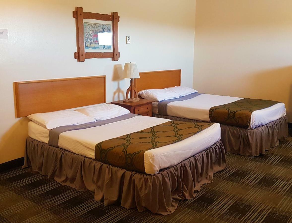 Agassiz Park Lodge - Under New Management McCreary Eksteriør billede
